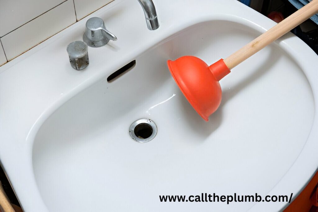 Plunger